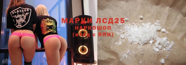 стафф Михайловск