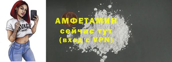стафф Михайловск