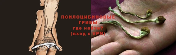 хмурый Михайлов