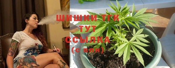 стафф Михайловск