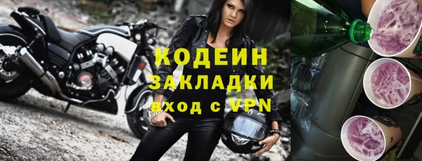 стафф Михайловск