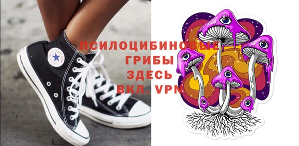 хмурый Михайлов