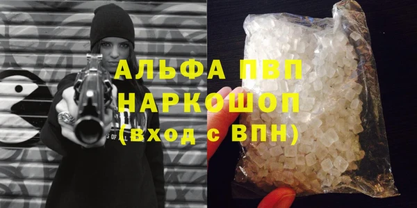 стафф Михайловск