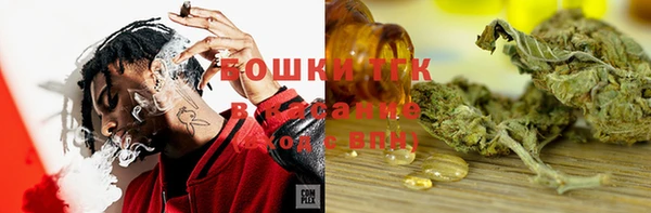 хмурый Михайлов