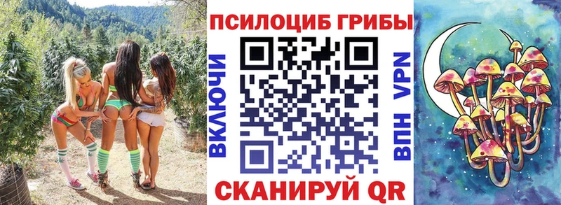 мега Холмск Галлюциногенные грибы мицелий где найти наркотики