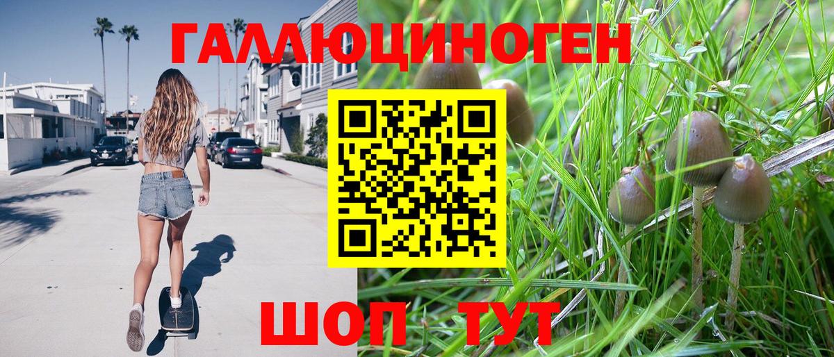 Галлюциногенные грибы ЛСД  Вход с VPN  Холмск 