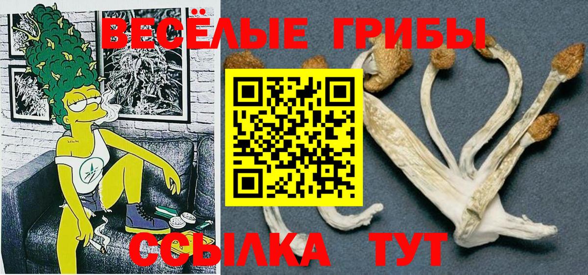 Галлюциногенные грибы Psilocybe Холмск